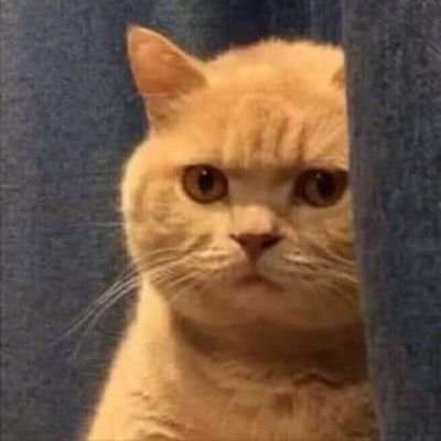 ChaneeTips's profile picture. เป็นติ่งก็ดีอยู่แล้ว อย่าไปหลงรักเค้าเลย #เจ้าของทวิตนี้แค่อยากเป็นคนที่เธอรัก