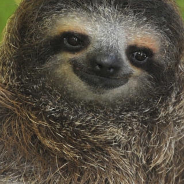 DeeRetros's profile picture. 