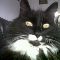 Val Thorp (@valthorp) 's Twitter Profile