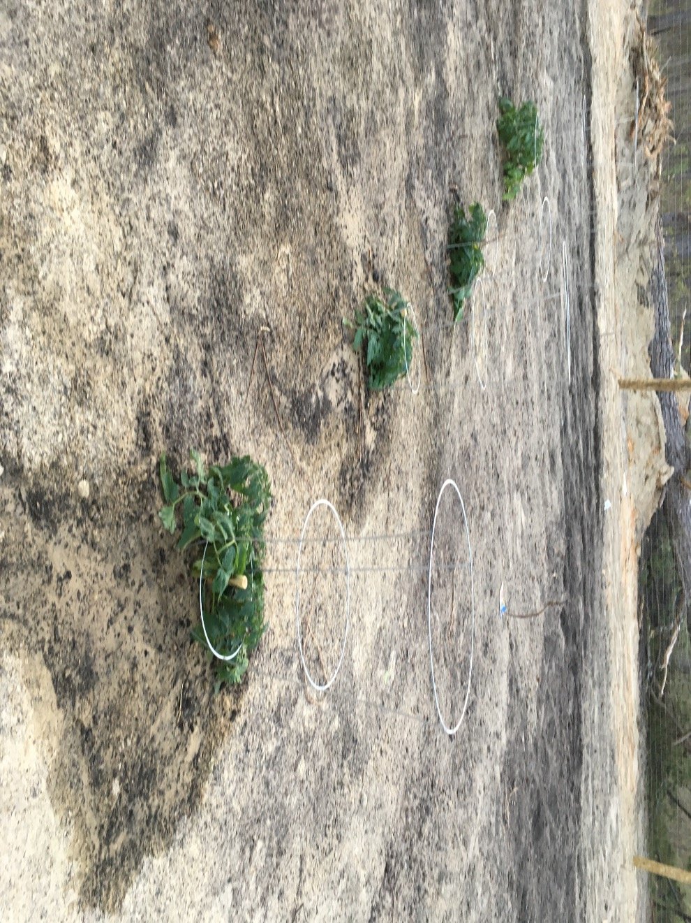 ShelbyBartkiew3's profile picture. 