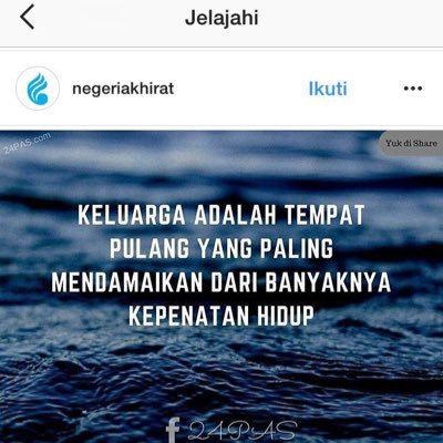 novie_nango's profile picture.