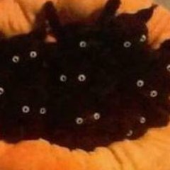树亼さんのプロフィール画像