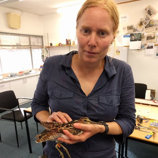 waterbird & shorebird ecologist. background riparian restoration, woodland birds, molecular ecology. working in eresearch, knowledge sharing & citizen science