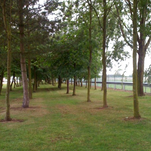 scarify100's profile picture. 