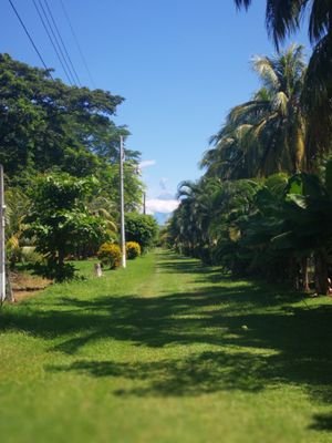 JessicaColocho1's profile picture. Amo el rancho 😎