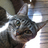 MargaretGates's profile image