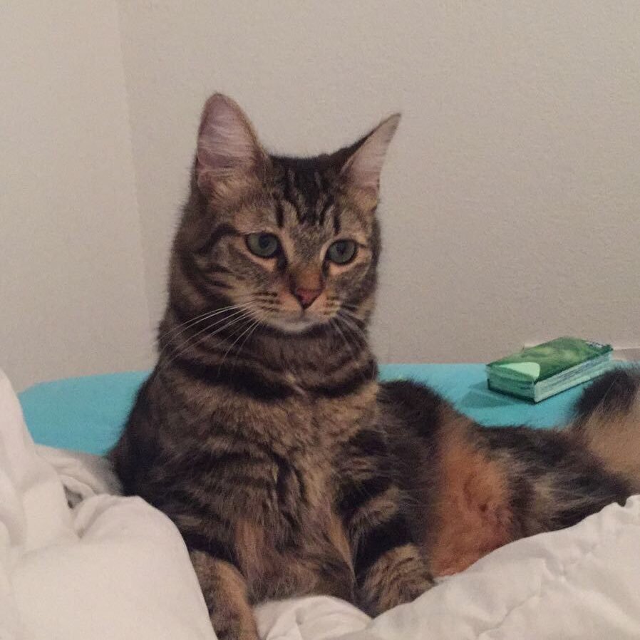 robintmtc's profile picture. 