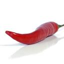 Will Ferris - @willandferris - Twitter