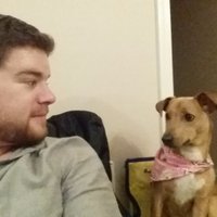Michael Zuccaro (@mikey_zooks) 's Twitter Profile