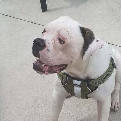 RossFrance1's profile picture. 