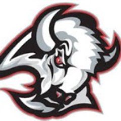 BisonNation1's profile picture. 