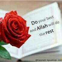 SKF81517896's profile picture. 