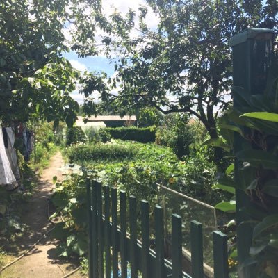 MarionPoum's profile picture. .