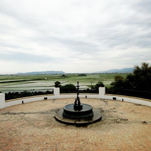 alfredanna's profile picture. 