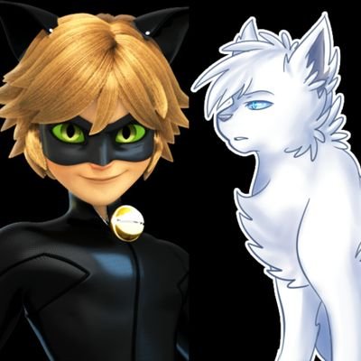DarkCatNoir's profile picture. 
