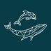 Hebridean Whale & Dolphin Trust (@HWDT_org) Twitter profile photo