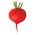 Edible Schoolyard Project (@edibleschoolyrd) Twitter profile photo Edible Schoolyard Project (@edibleschoolyrd) Twitter profile photo