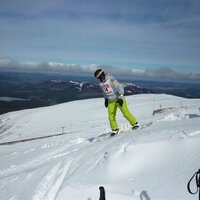 Stefan Grzybowski (@stef_grzybowski) 's Twitter Profile