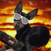 Jordi Mahi (@jordimahi) 's Twitter Profile