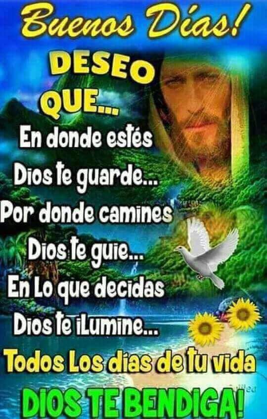 carolin17129223's profile picture. 