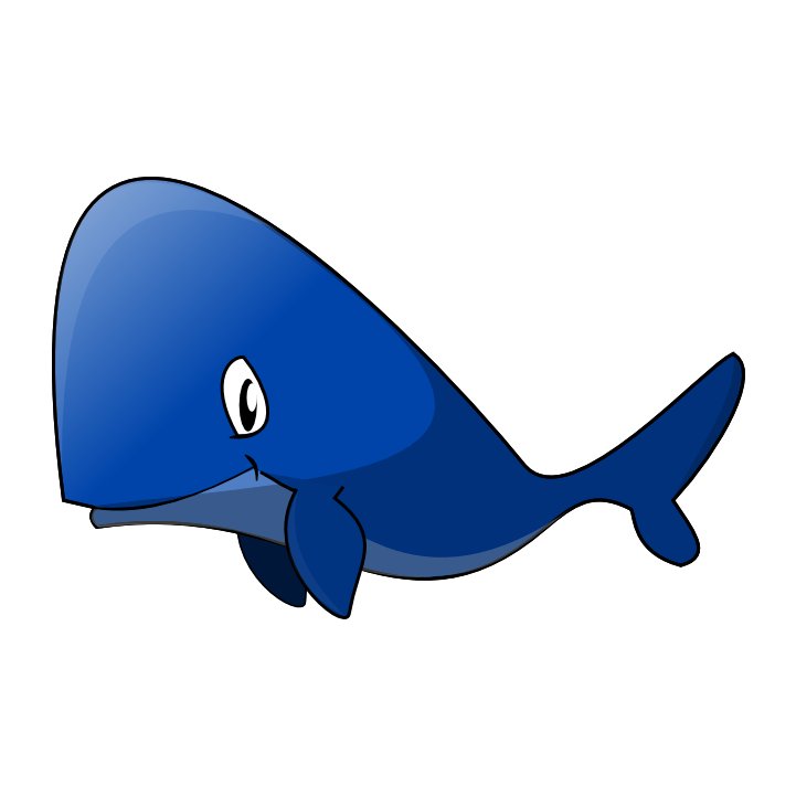 btc_whale's profile picture. Just swimming the oceans watching other whales... u kno.. be whales n' stuff..

#btc #cryptocurrency #whalewatching