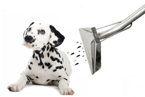Folsom Lake Carpet Cleaning. Folsom, Roseville, El Dorado Hills, #Sacramento C.A. : )