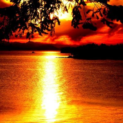 WSerringer's profile picture. 