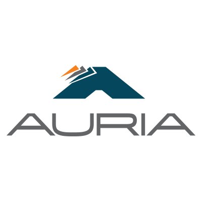 Leading global supplier of automotive acoustic and textile products. Born Sept. 2017.