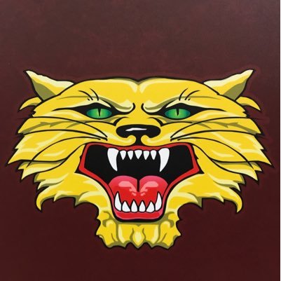 Official feed for all things related to Kalida High School/Middle School. #WildcatPRIDE!