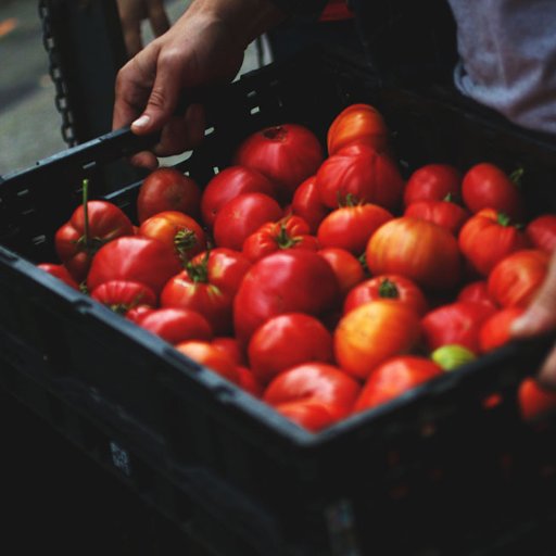 atthetablepod's profile picture. Celebrating stories from the front lines of a more sustainable, accessible, inclusive food system. Brought to you by @lifeastrawberry. Members @1percentFTP.