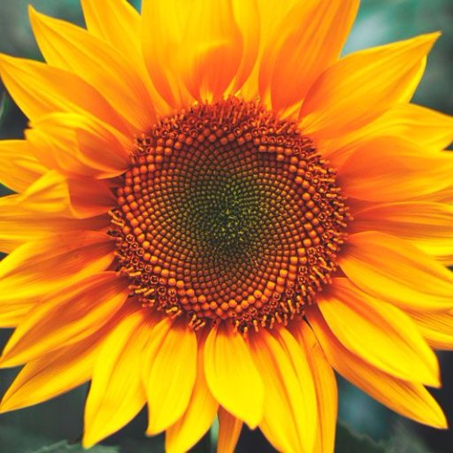 Catalina_paez_2's profile picture. Amo a mi familia!