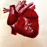 Dr Ari Horton (@heartfulpaeds) 's Twitter Profile Photo Dr Ari Horton (@heartfulpaeds) 's Twitter Profile Photo