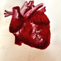 Dr Ari Horton(@heartfulpaeds) 's Twitter Profile Photo