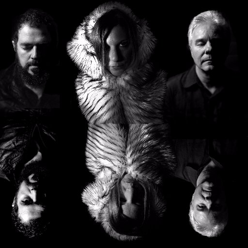 wegovernwe's profile picture. New album out now!!! order here: https://t.co/9GAylocZxP