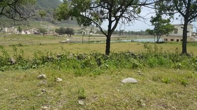 mond_ha's profile picture. 