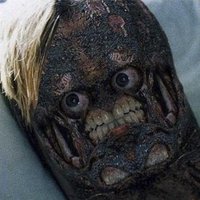 Isra (@isranutrof) 's Twitter Profile