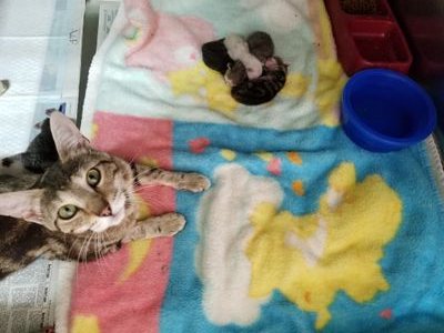 empty_nest__'s profile picture. Christian. Pets as a hobby&career but not food, a mom, wife, conservative, prolife.🐾