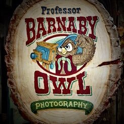 Proprietor of Professor Barnaby Owl's Photographic Art Studio and Founding Editor-in-Chief of NationOwl Enquirer