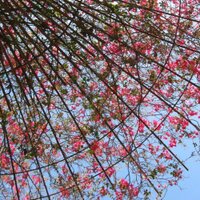 Mari Takayanagi(@satisfactory20) 's Twitter Profile Photo Mari Takayanagi(@satisfactory20) 's Twitter Profile Photo