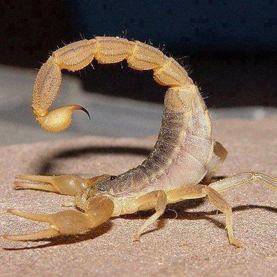 Iammulej's profile picture. By the grace of God