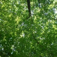 みたま (@mitamaxe) 's Twitter Profile