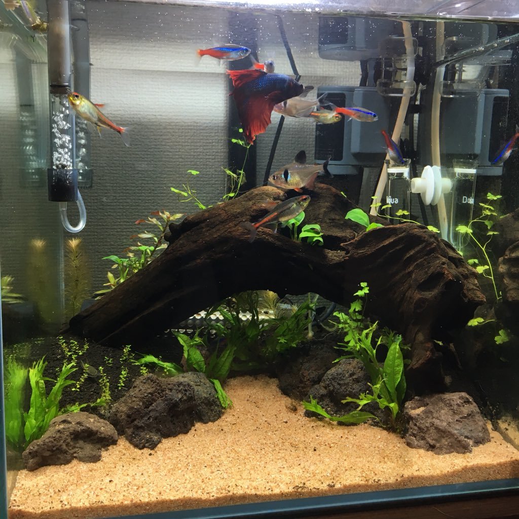 you8_s18's profile picture. 