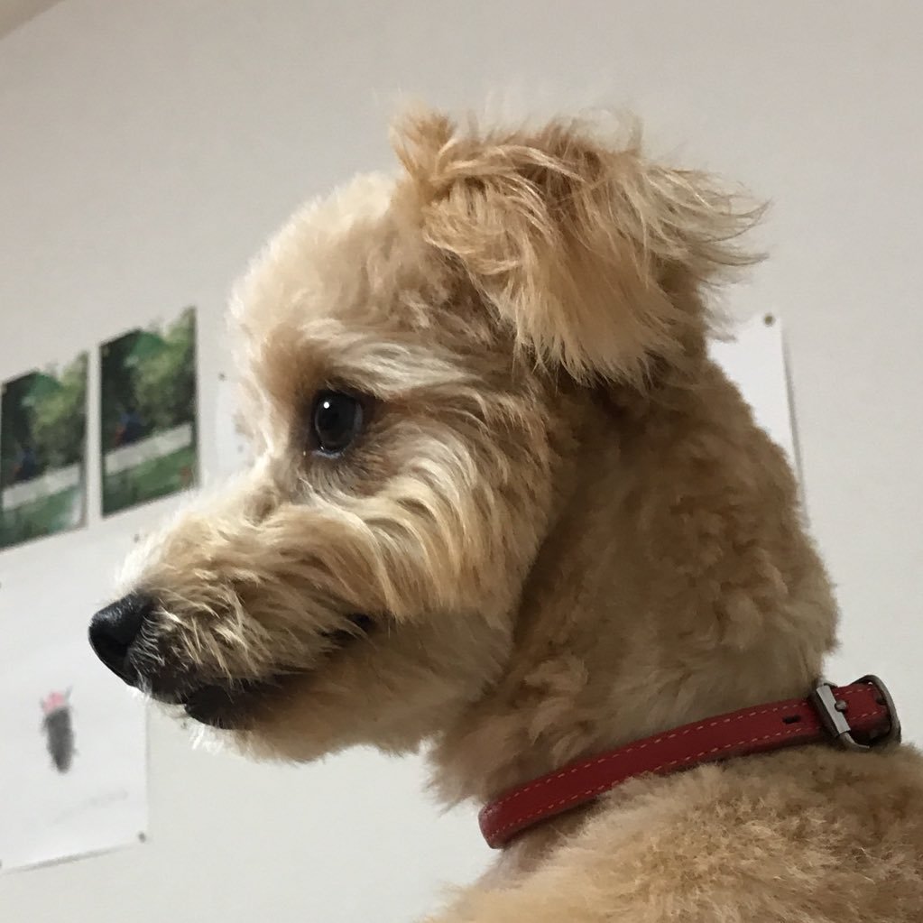 CGisJeI9EiQzpXz's profile picture. エレカシの宮本さんに夢中です💕