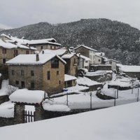 FJ  Bronte (@franezkaurre) 's Twitter Profile Photo