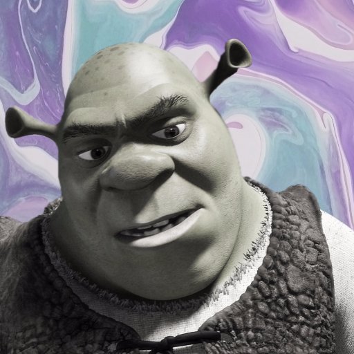 shrek is everything. we sell shirts with his face on them, as well as assorted pins, spidey shirts, and water/soda. come see us this weekend!