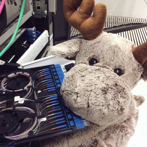 Network Moose Profile