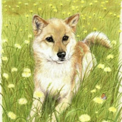 川西いつみさんのプロフィール画像