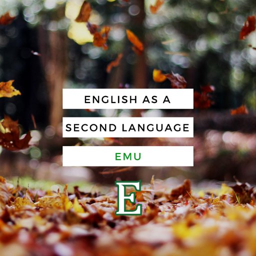 The Intensive English Program at Eastern Michigan University
#learnenglish #esl #studyinthestates #studyintheusa #englishlearning #easternmichigan #english