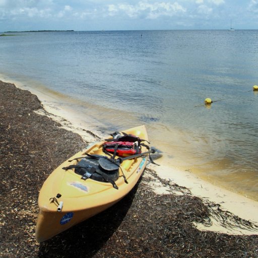 Official account of the Levy County Visitors Bureau, sharing travel and vacation information for Cedar Key and Levy County. Come visit Florida's Nature Coast!