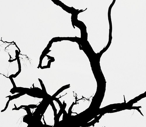 eraye9's profile picture. I fall asleep and then I wake up.